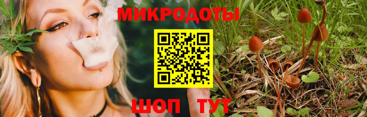 Мурино  Псилоцибиновые грибы прущие грибы  Псилоцибиновые грибы GOLDEN TEACHER  Вход с VPN 