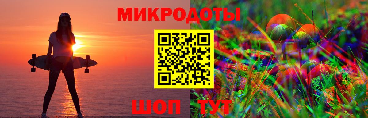 Псилоцибиновые грибы Psilocybe Мурино
